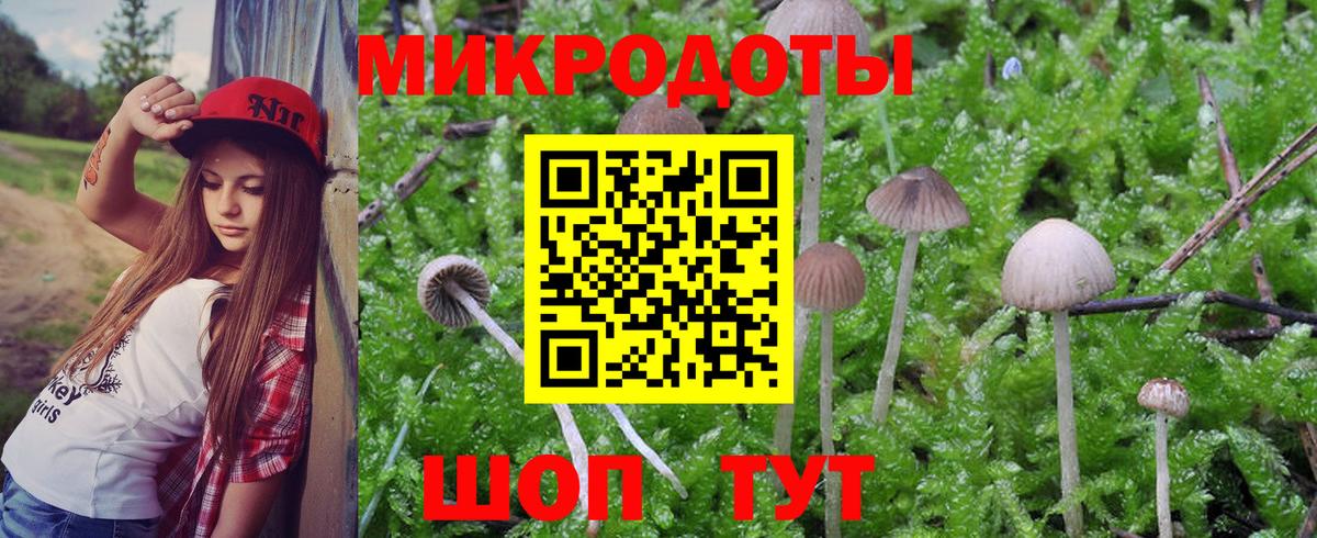 Псилоцибиновые грибы Cubensis Химки