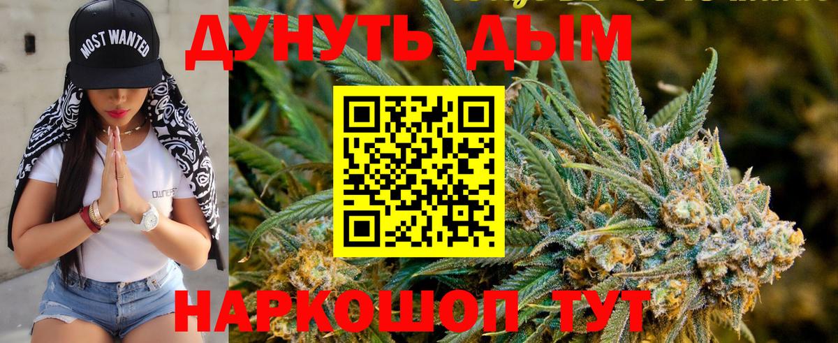 Бошки Шишки планчик Химки